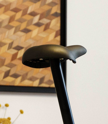 Vélo d'appartement - SV-326-2 - STRIALE - Reconditionné