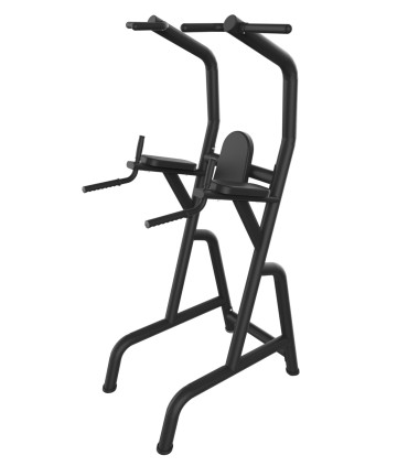 Chaise Romaine - CARE - Poste Abdos-Lombaires et Dips