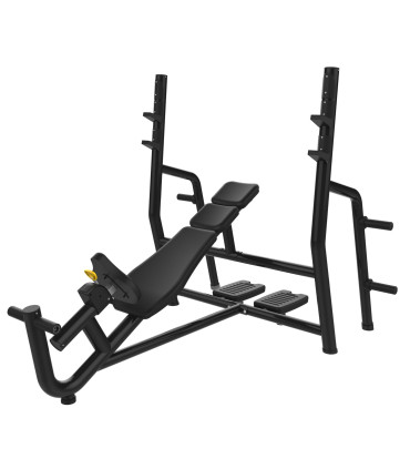 Banc de Développé Incliné Olympique PRO- CARE - Incline Chest Pressress