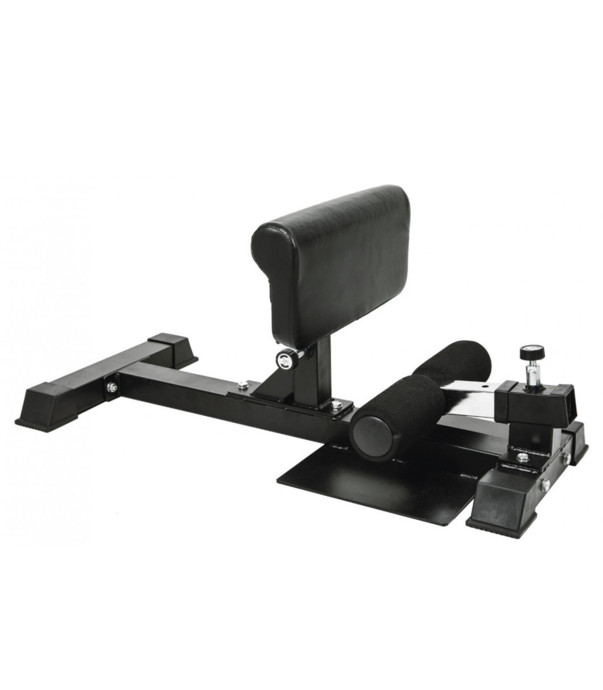 Sissy Squat Performance