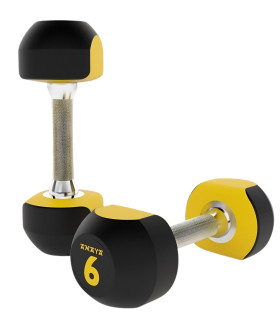 Haltères Bi-color - Polyurethane