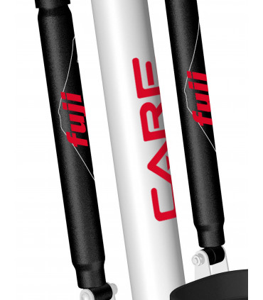 Stepper CARE FUJI - Reconditionné