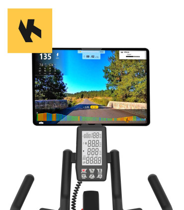 Vélo de biking - CARE - COMPETITOR - Magnétique