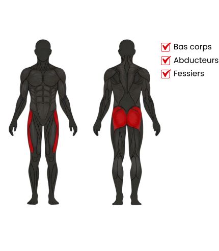 Objectifs musculaires